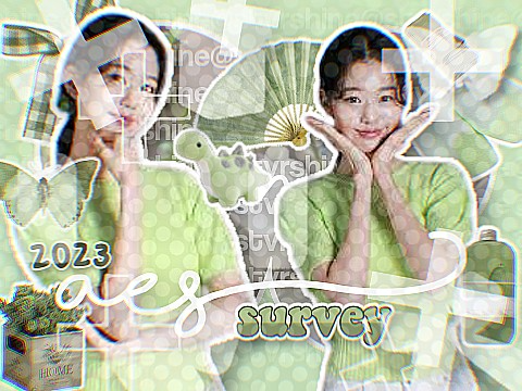♡┊²⁰²³︵ aes ✩ survey remix