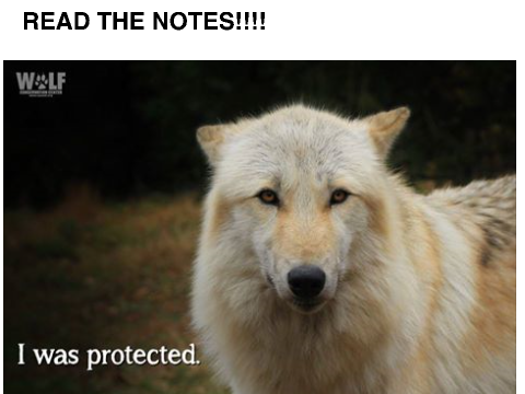 TERRIBLE NEWS - WOLF LOVERS CLICK HERE -