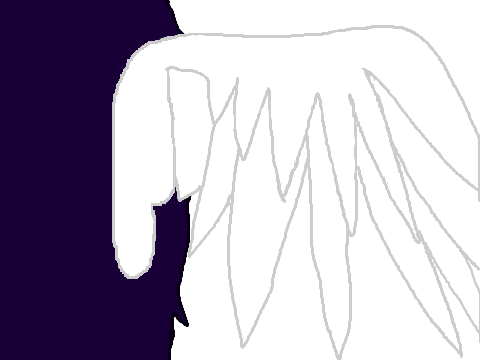 Wing Animation test