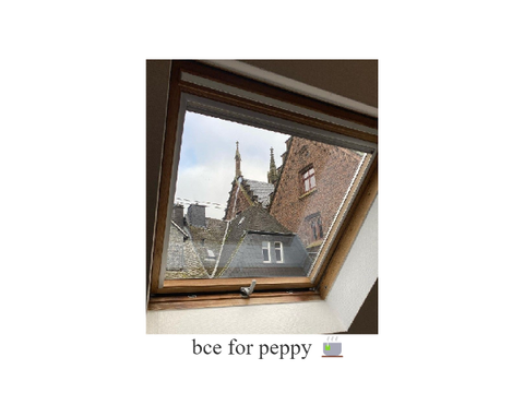 bce for peppy