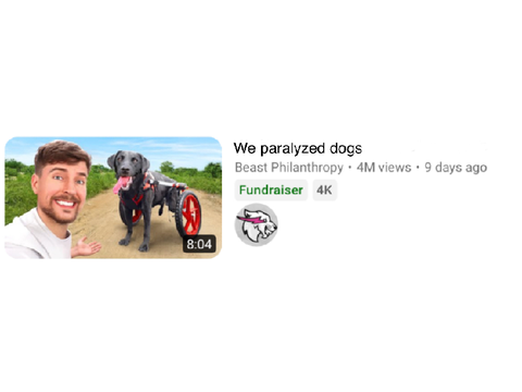 What did mr beast do!?