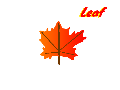 Happy Fall!