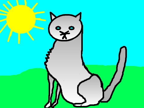 My Cat!