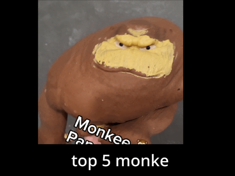 top 5 monke #shorts