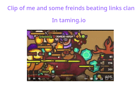 Tamer>Link
