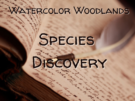 Watercolor Woodlands -- Species Discovery