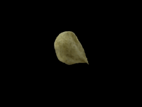 Untitled chip 