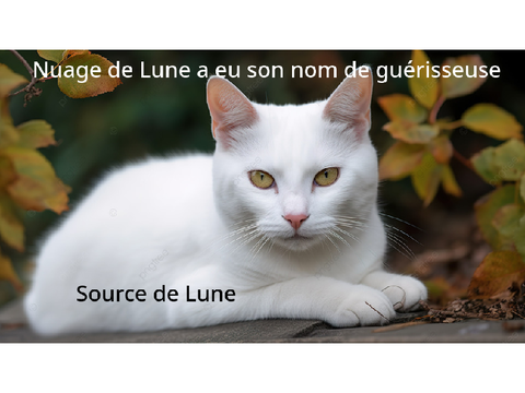 Lgdc, ma vie en tant qu'Étoile d'Orage d'apprenti à lieutenant