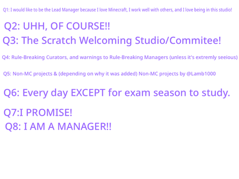 Lead Manager Application remix-2