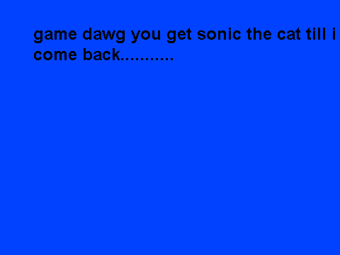 goodbye sonic the cat :(