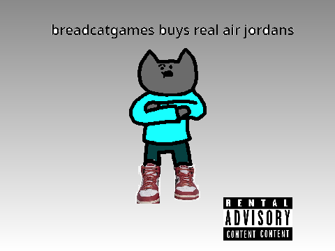 real air jordans
