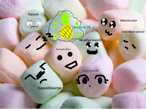 Add yourself as a marshmallow remix