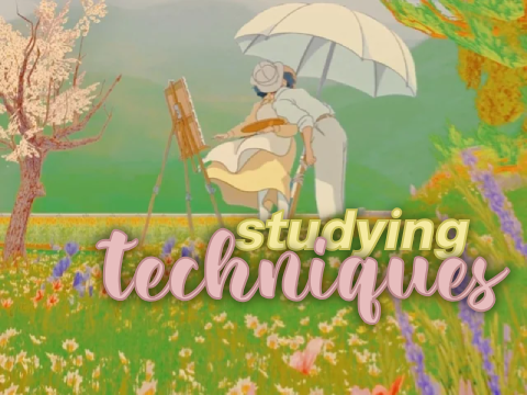 ミᨳ⁺ ⊹ studying techniques !