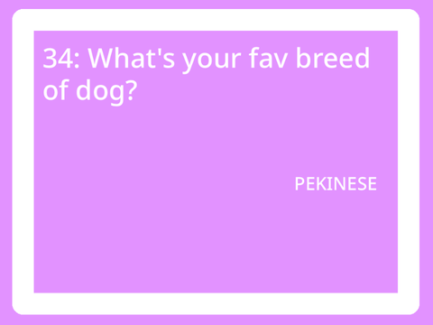 50 RANDOM QUESTIONS! :0  remix