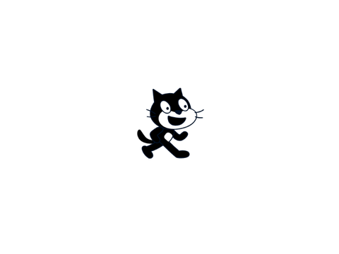 Black cat