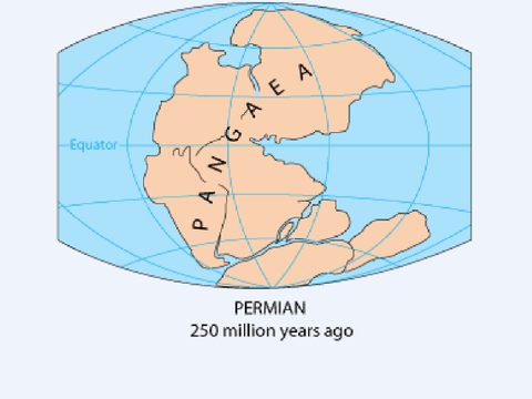 Pangea Student_0