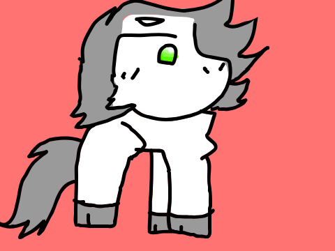 New pet