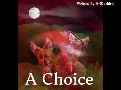 A Choice : Warrior Cats