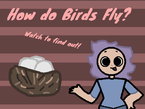 How Do Birds Fly?