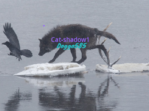 Remix and sign if you are against wolf hunting remix