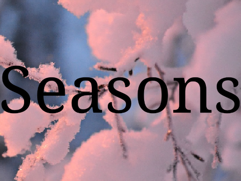 Seasons