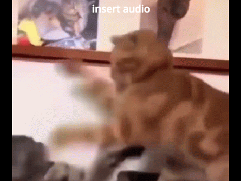 prowler meme template