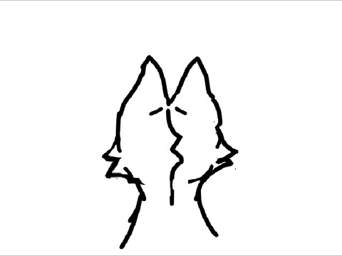 Cat explode :0