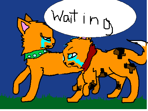 Waiting For You CCE