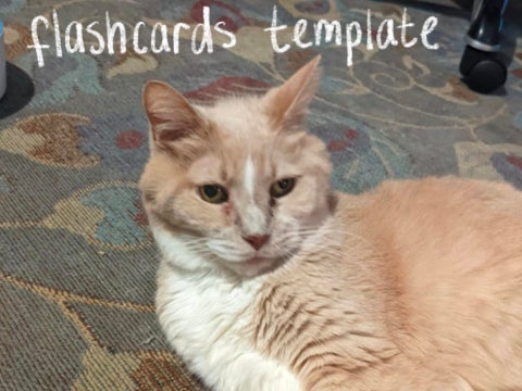 flashcards template