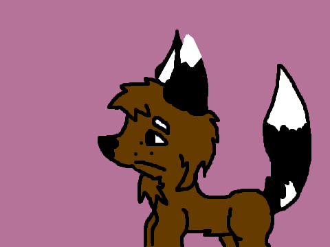 scary DTA Open Dogcat