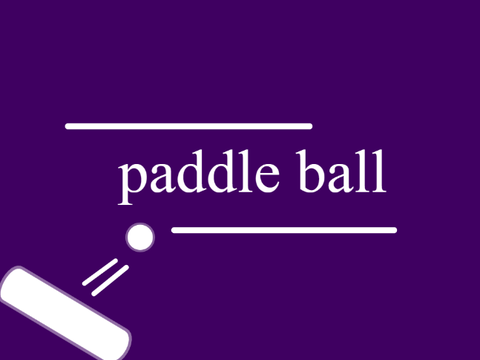 paddle ball!