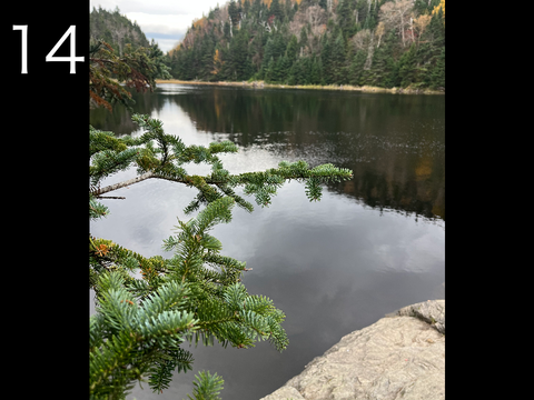 (RESHARE) Some Pictures I Took On a Hike Today
