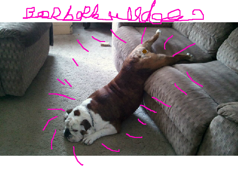 boop bop bulldog