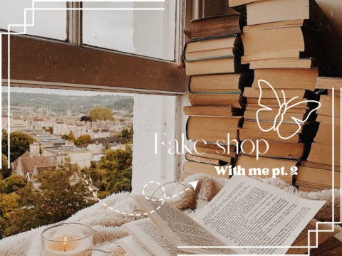 Fake Shop With Me Pt. 2