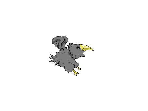 鳥