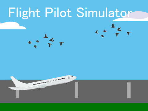Flight Pilot Simulator