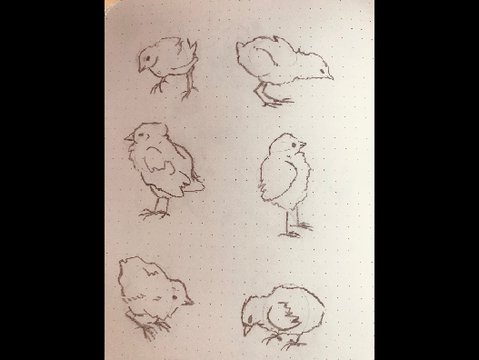 Random - #24