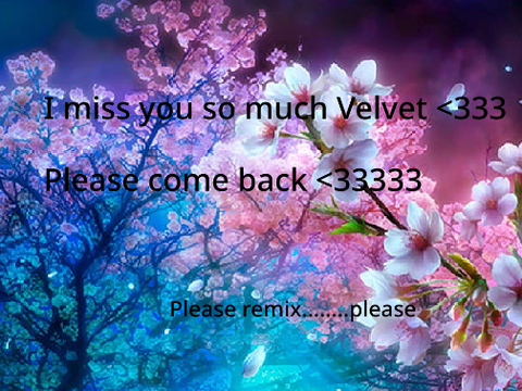 Honoring @VelvetTheCalicoCat