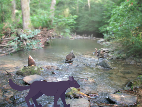 Wolf