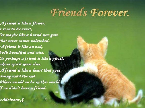 For the best of friends...
