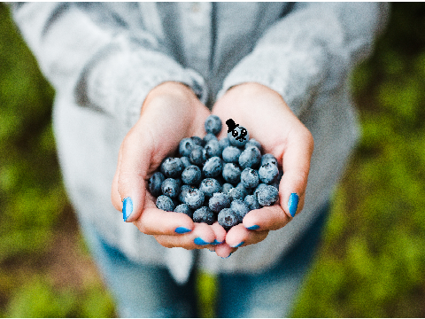 Remix Yourself As a Blueberry!