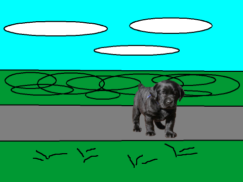 The Dog