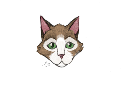 I tried drawing a cat on my ipad
