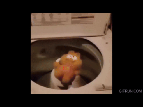 Garfield jumpscare
