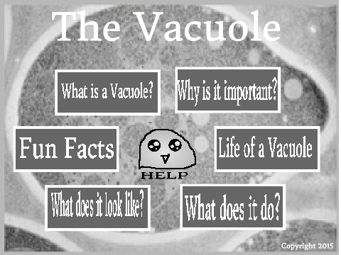 Vacuoles