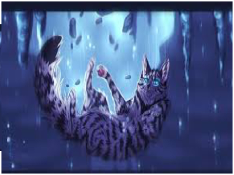 Would you save these cats? remix