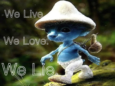We Live. We Love. We Lie.