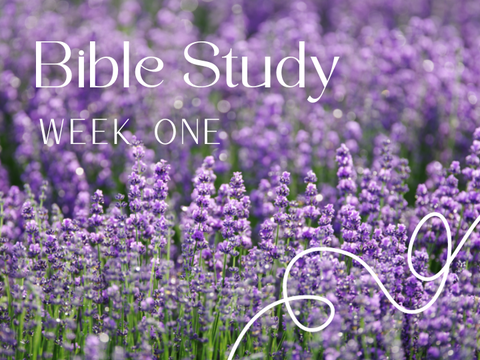 Bible Study Week One