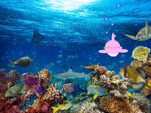 Little Dolphin remix