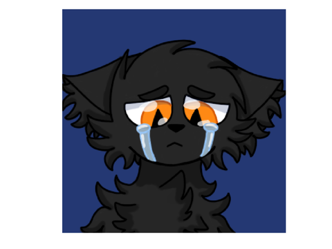 Sad black cat